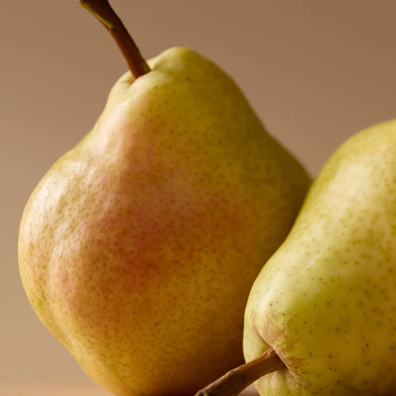Maple & Pear | Pura Refill