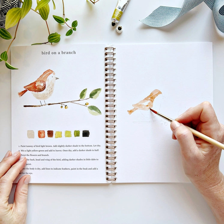 Birds Watercolor Workbook