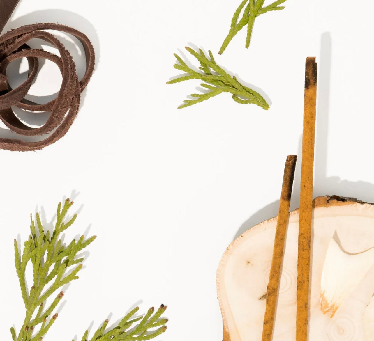 Woodsmoke | Pura Refill
