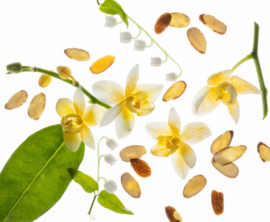 Vanilla Velvet Hair & Body Fragrance Mist