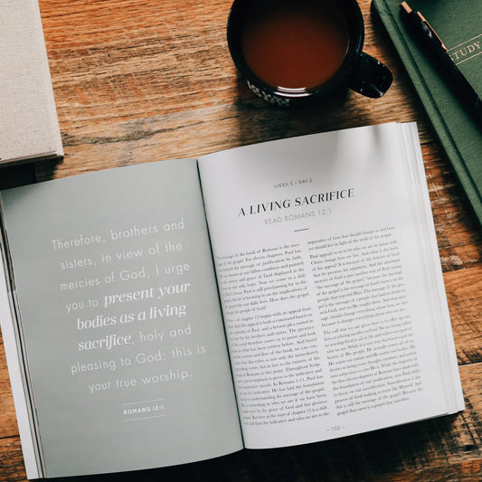 Romans Vol. 2 | The Gospel-Centered Life