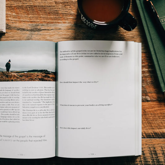 Romans Vol. 2 | The Gospel-Centered Life