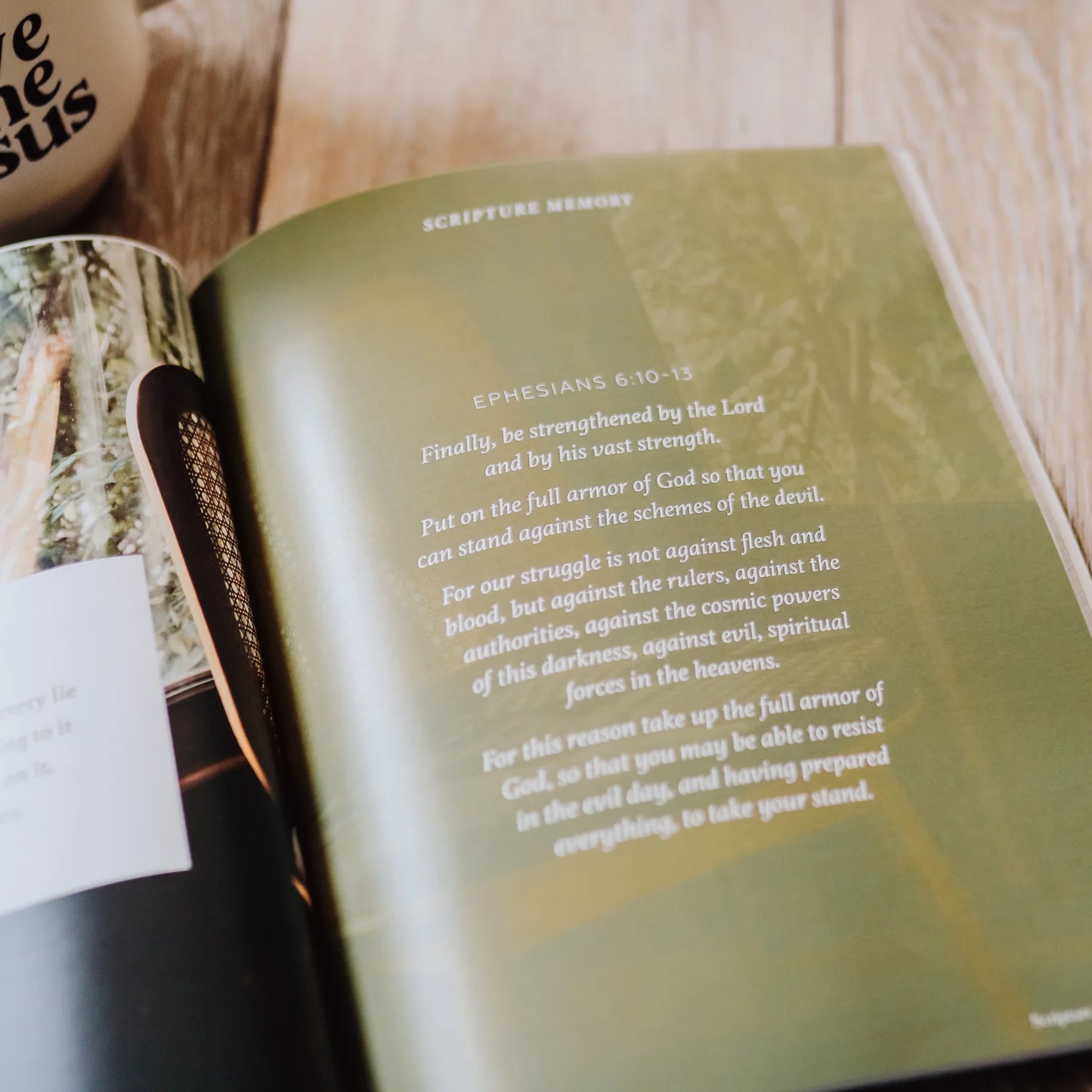 Stand Firm | Armor of God Study
