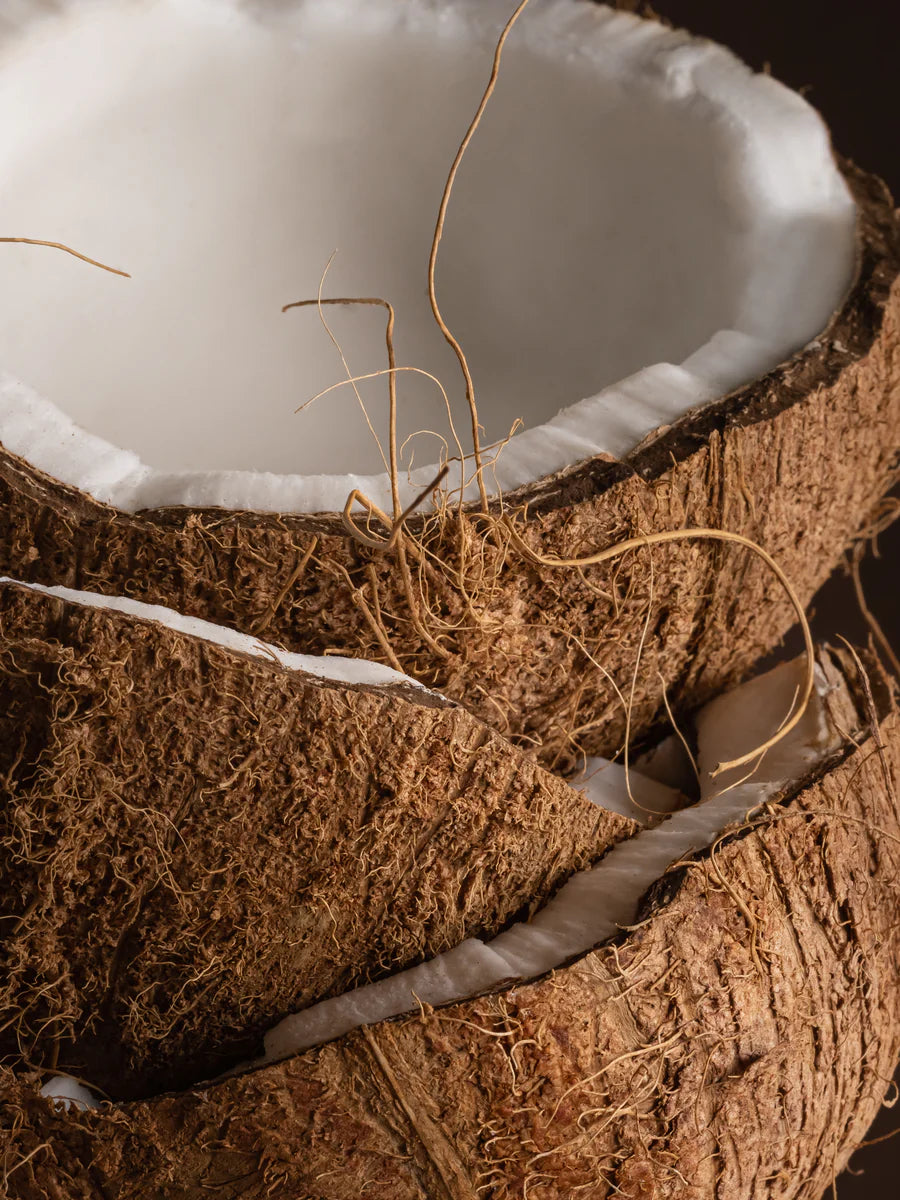 Coconut Milk Mango | Pura Refill
