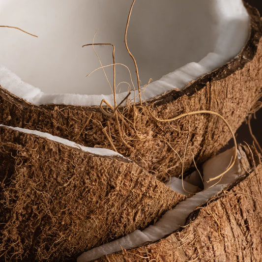 Coconut | Pura Refill