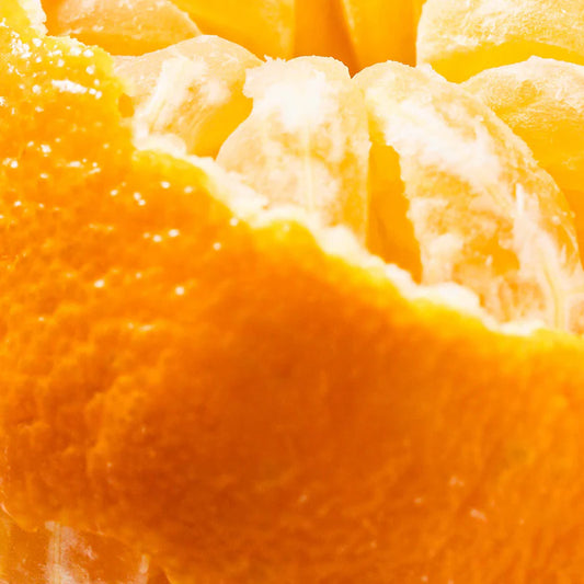 Citrus Crush | Pura Refill