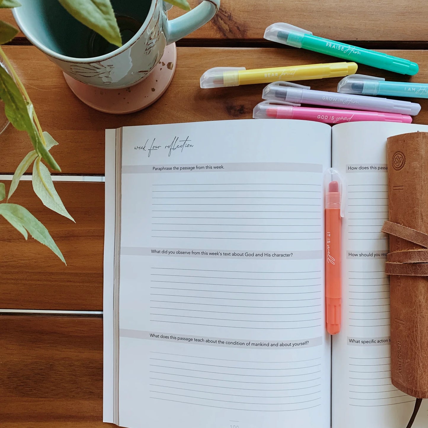 Colossians | Rooted in Him