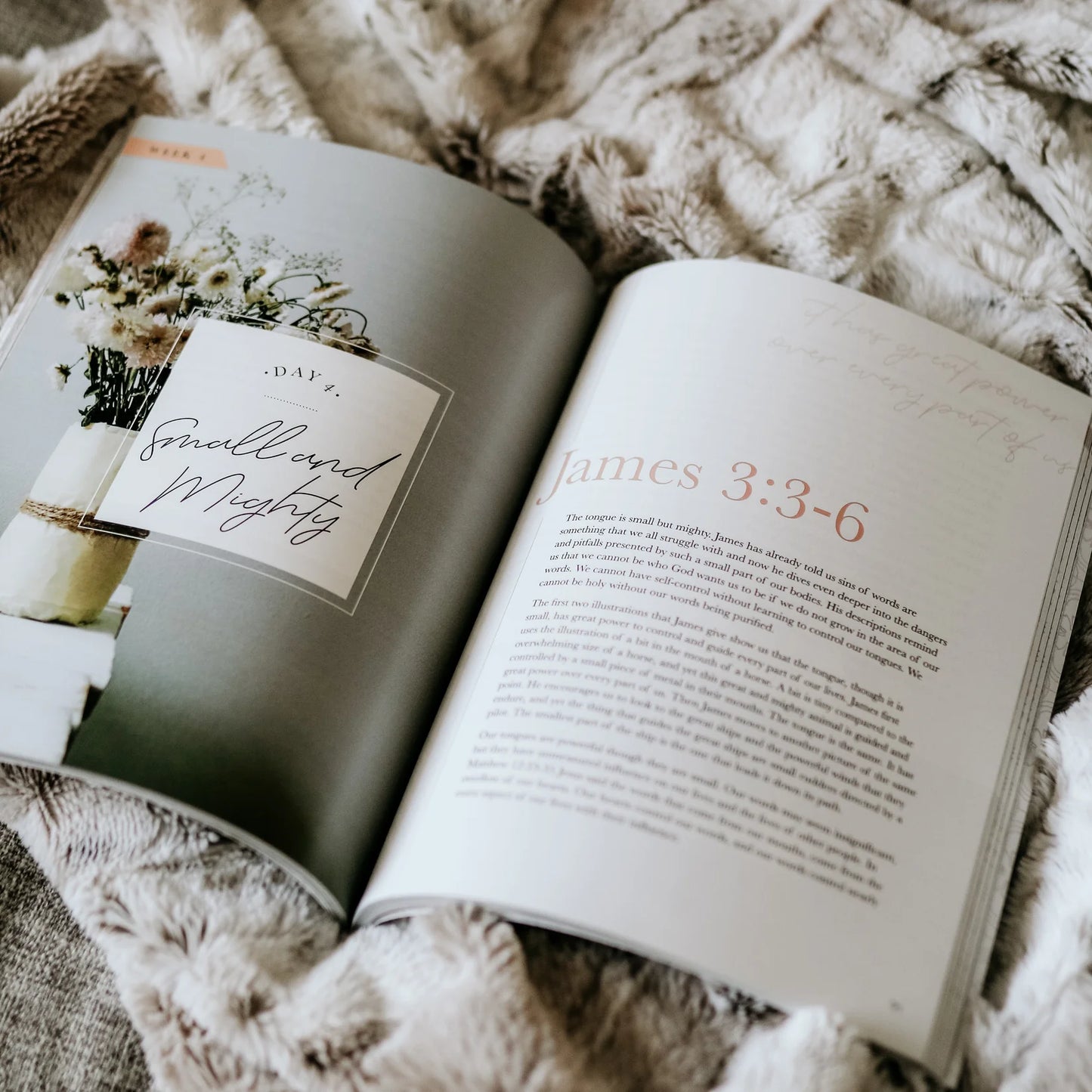 James | The Steadfast Life