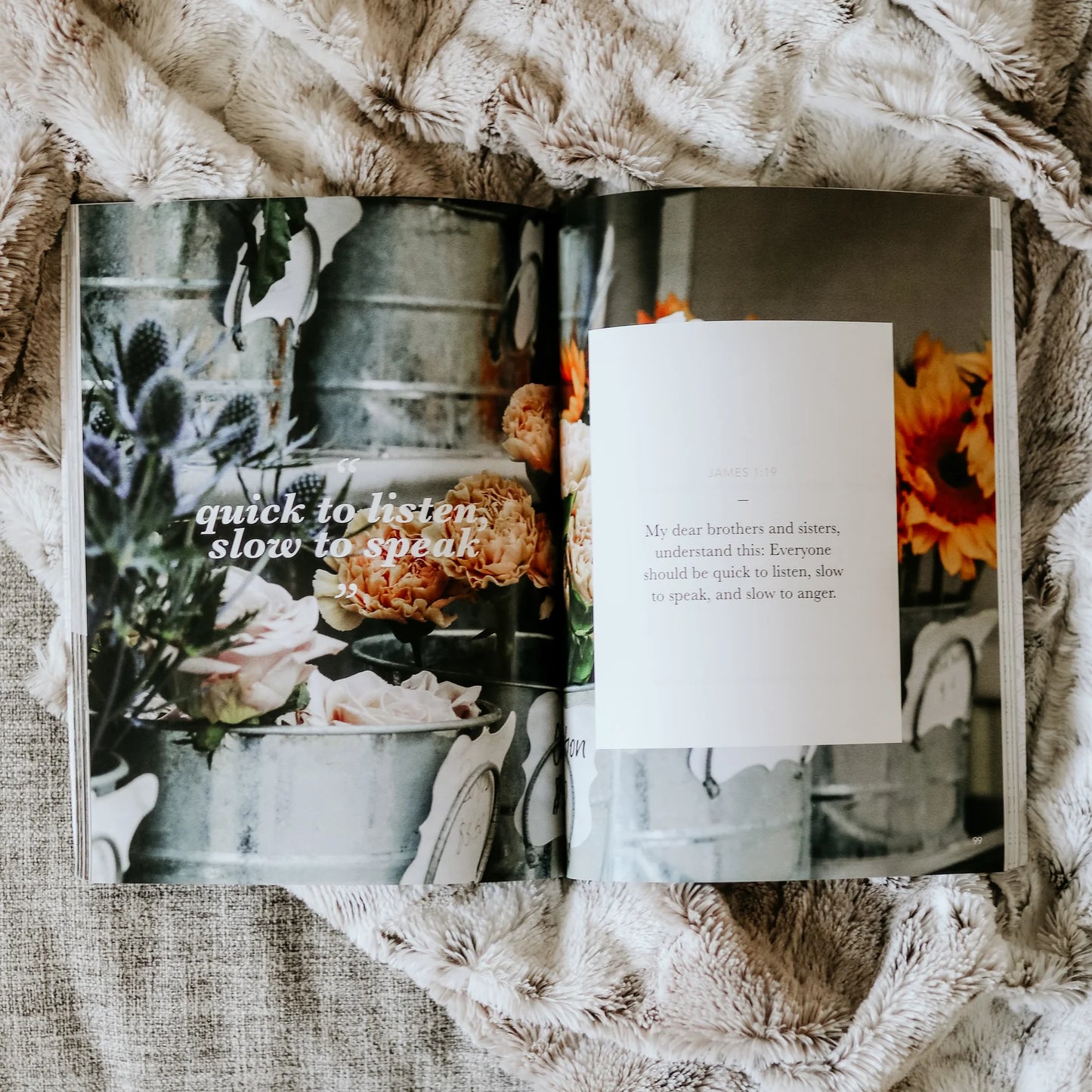 James | The Steadfast Life