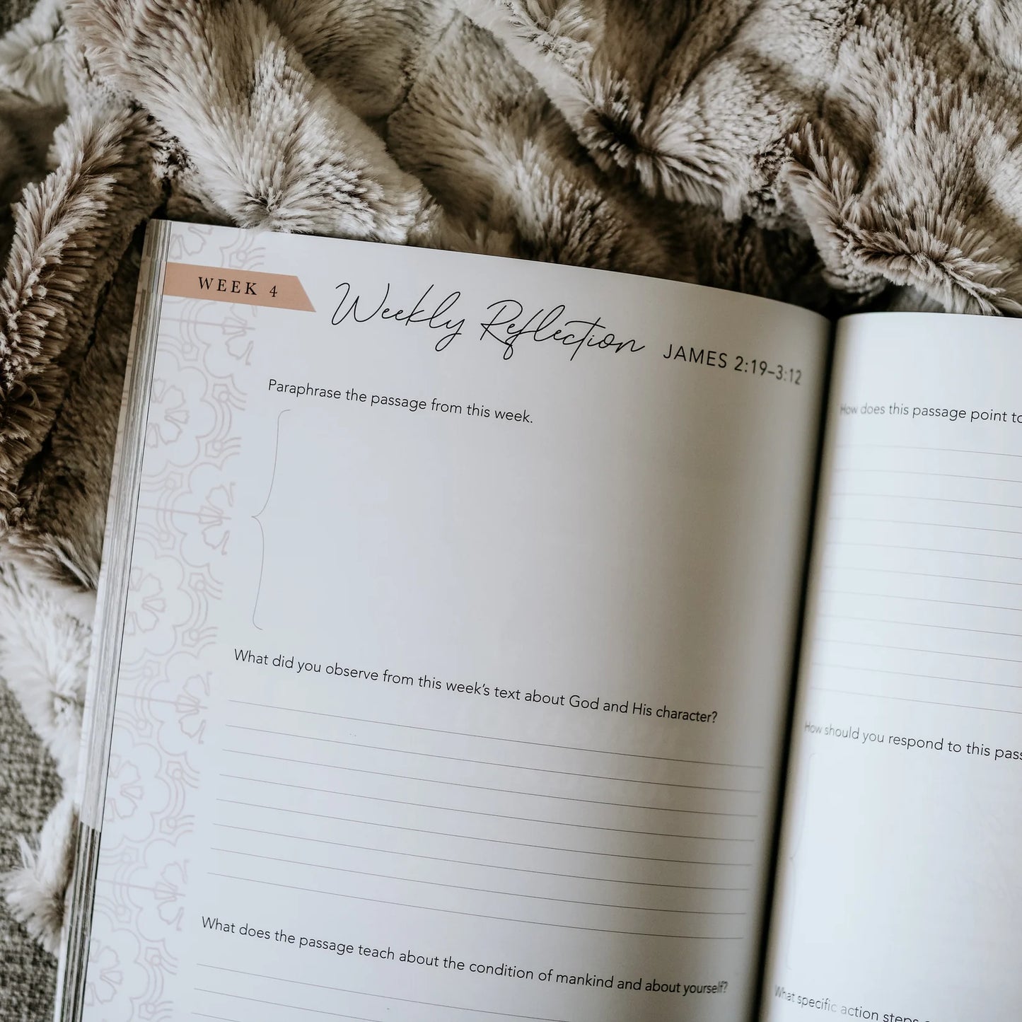 James | The Steadfast Life