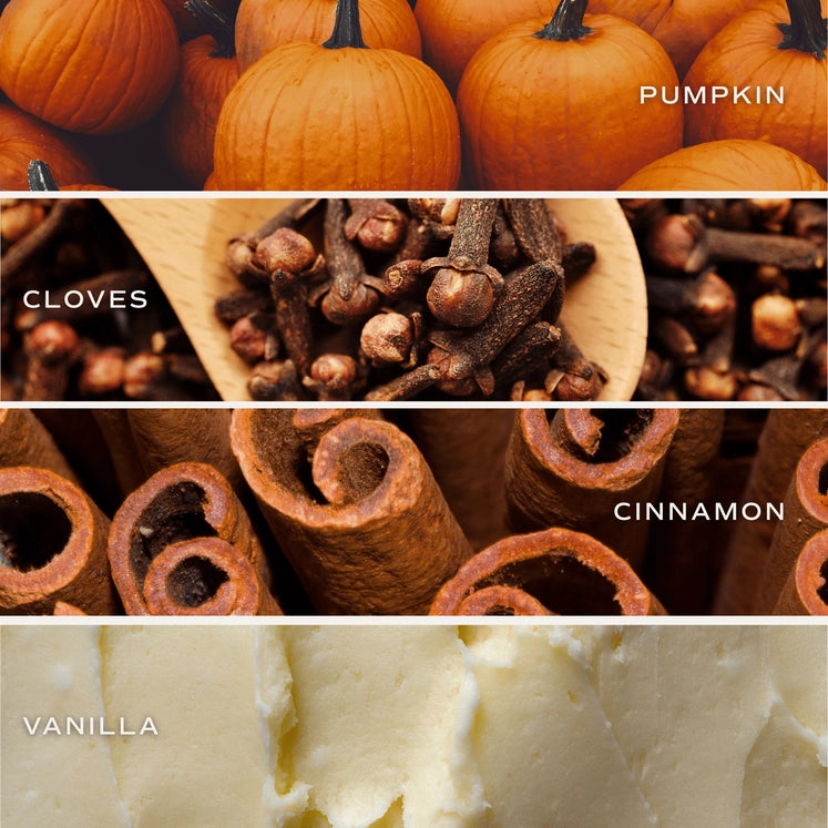 Pumpkin Spice Boxed Candle