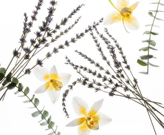 Pure Lavender Hand Sanitizer Spray