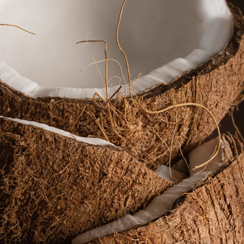 Coconut | Pura Refill