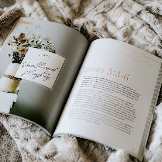 James | The Steadfast Life